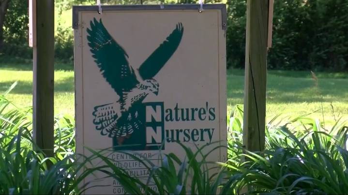 Nature's nursery gets wild for Giving Tuesday
