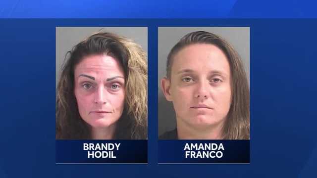 New Ring videos, evidence in deadly DeLand dog attack case