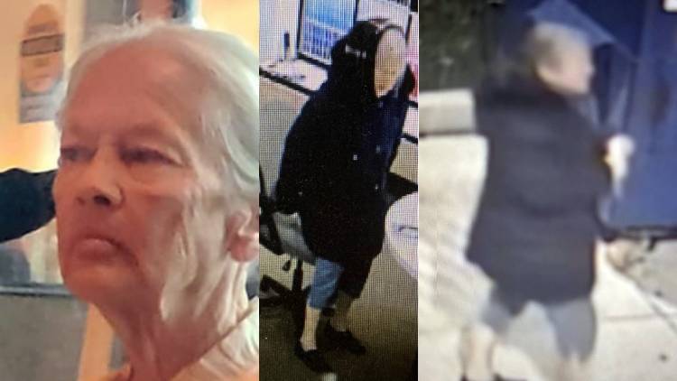 Toronto police searching for missing 74