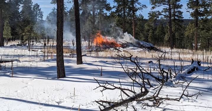 Kaibab National Forest plans additional pile burns despite wintry weather