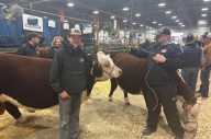 Long days, big crowds and bigger smiles close out Agribition in Regina