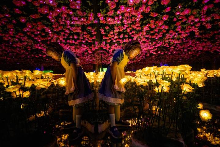 ‘Alice in Wonderland’ lights attraction wows guests in Ontario