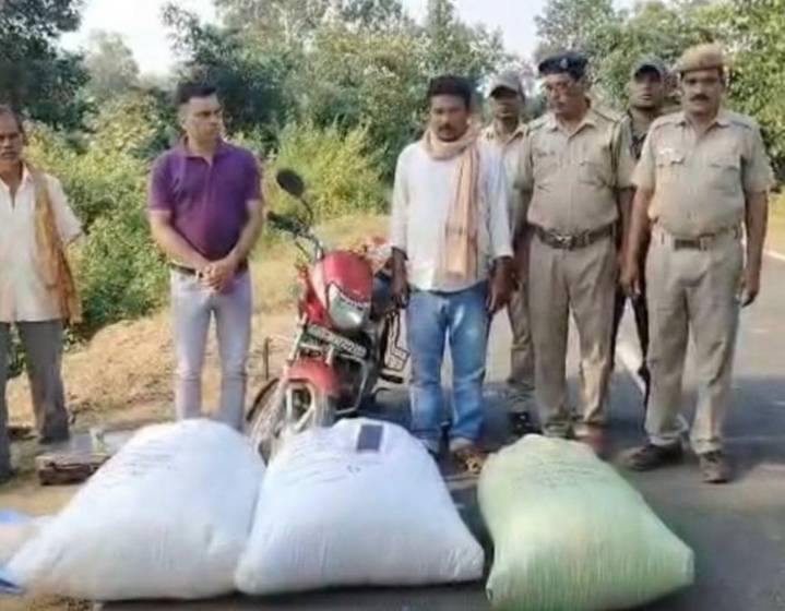 70kg ganja seized during raid in Odisha, one arrested