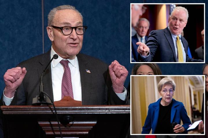 Senate Dem 'fight club' challenges Schumer over 2026 primaries -- but critic warns of 'one big, giant mess'
