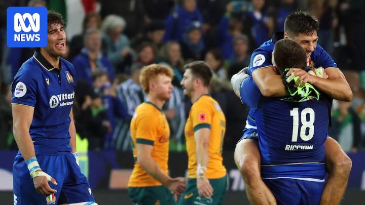 Wallabies 'not looking for excuses' after defeat to Italy