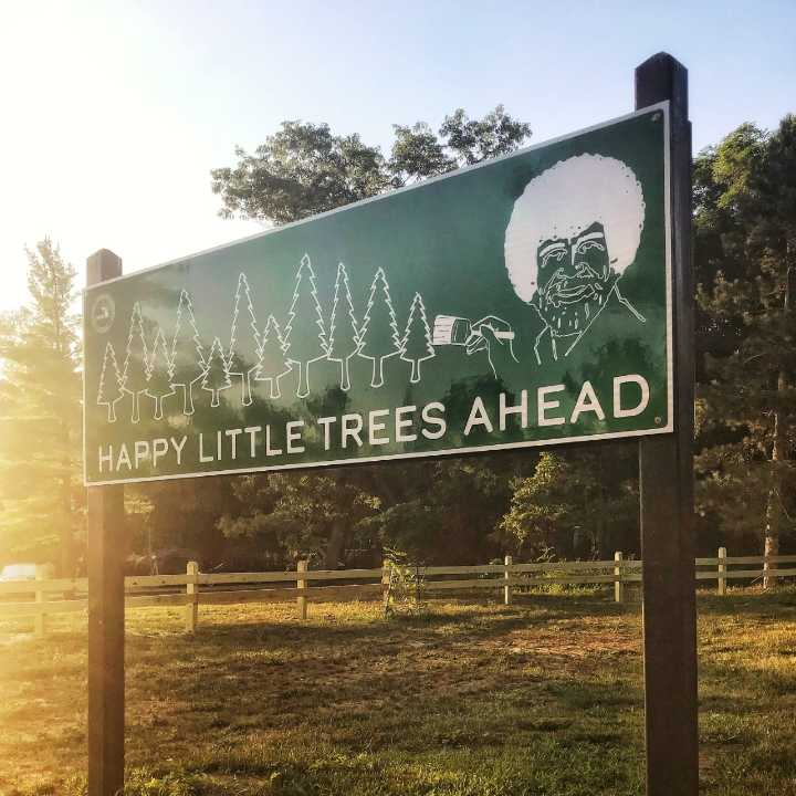 This Bob Ross-inspired 5K has already planted thousands of ‘happy little trees’ in state parks