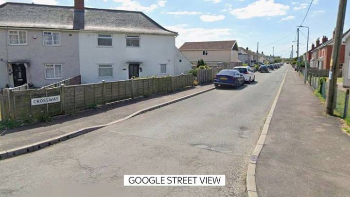 Nine-month-old baby dies after dog attack in Wales