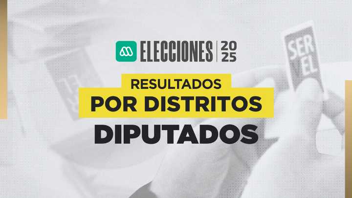 Resultados elección de diputados 2025 en el Distrito 10: Consulta quién gana