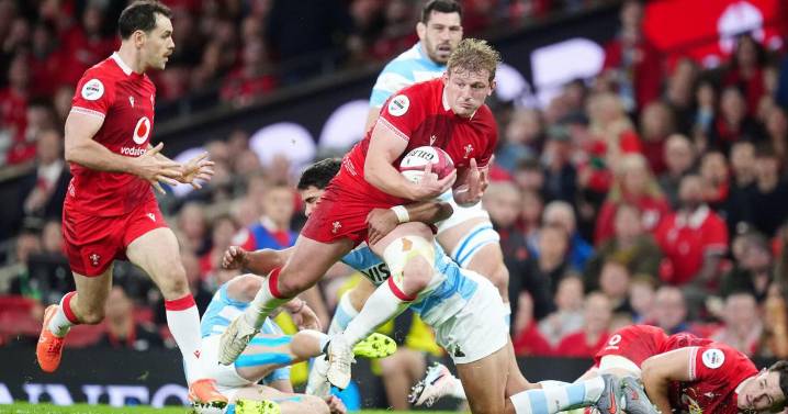 Wales captain Morgan missing rest of autumn rugby tests including key Japan match