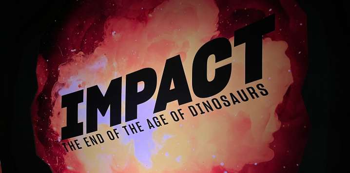 Sneak Preview of Groundbreaking New Exhibit at the American Museum of Natural History