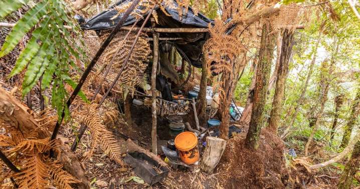 New Zealand investigating man who hid his children in forest