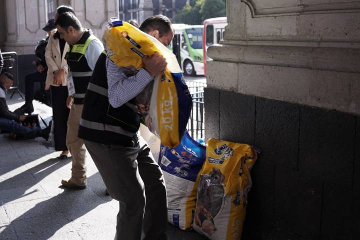 Lanzan colecta de acopio de croquetas y alimento para perros y gatos rescatados