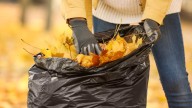 Marion County leaf collection to start Nov. 10