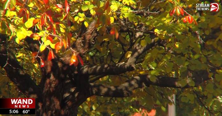 Feeling sad this fall? How Seasonal Affective Disorder can impact health