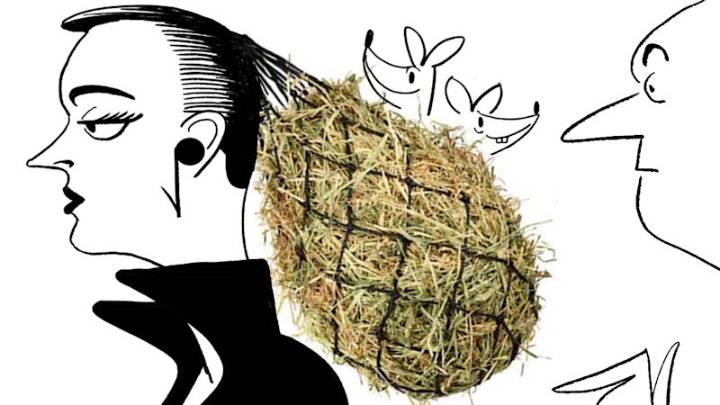 Modern Guru: Should I tell a fellow bus passenger she has grass in her hair?