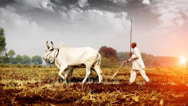 Maharashtra farmer receives Rs 6 as compensation for crop loss