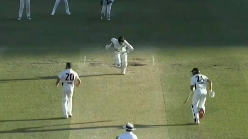 WA seals thrilling one