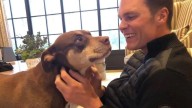 Tom Brady revela que clonó a su perrita Lua, que murió en 2023