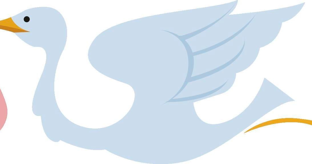 Births, Oct 18- Oct 31, 2025