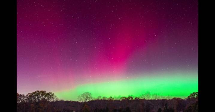 'So beautiful:' Northern lights grace Tennessee skies in rare event