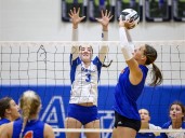 All-Ohio volleyball: Anthony Wayne lands trio of honorees