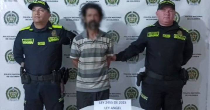 En criadero clandestino del Eje Cafetero tenían 31 perros desnutridos y con heridas: capturaron a una persona