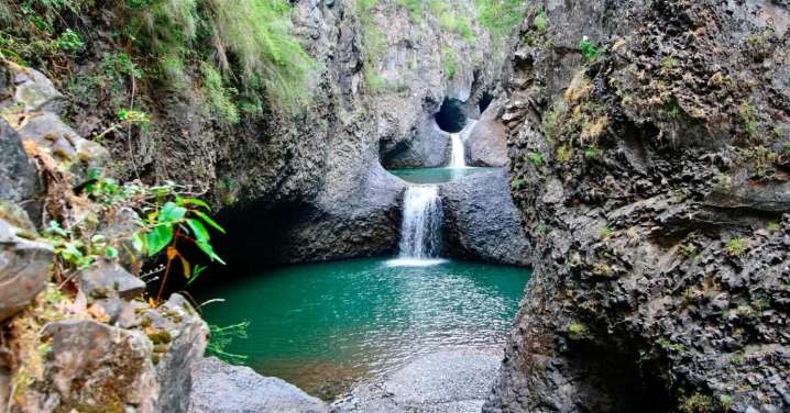 Día de las Áreas Protegidas: Los 15 parques nacionales que abrirán sus puertas gratis este sábado 8 de noviembre