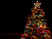 Covington Christmas Tree Lighting 2025: What You Need to Know