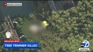 Tree trimmer killed after coming in contact with power lines, being suspended 30 feet above ground in Beverlywood