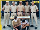Delhi gang inspired by 'Money Heist' steals Rs 150 crore and..., took names from