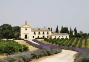 El pequeño pueblo de Toledo que conquistó a la familia Falcó hace 700 años