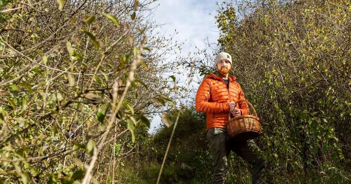 Bristol forager saves £200 a month on food shop by picking food in his local park