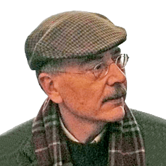 Como pollos sin cabeza