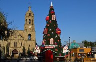 Encenderá Manolo este domingo pino navideño monumental en Múzquiz