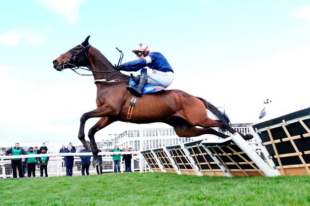 Navan race meeting called off as wet weather postpones chasing debut for Kopek Des Bordes