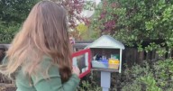North Bay "little free libraries" now stocked with food, toiletries amid loss of food benefits