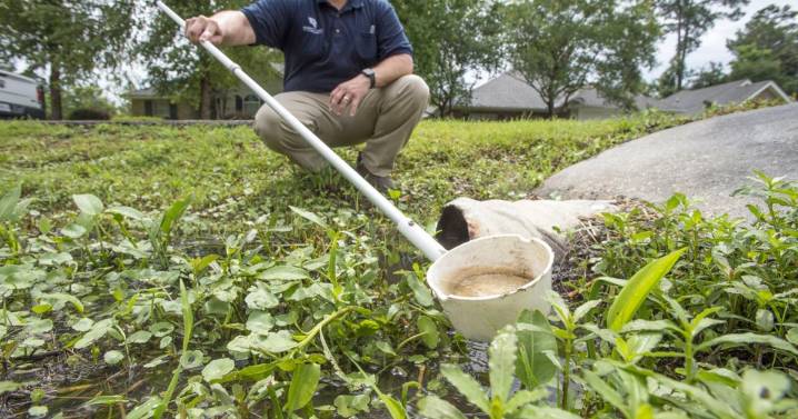 Some St. Tammany homes are leaking raw sewage into ditches. Inspections are now on the way.
