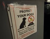 Dog tests positive for meth after morning walk