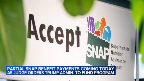 Illinois SNAP recipients to begin receiving partial benefits amid government shutdown