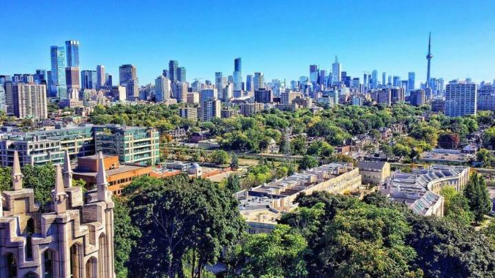 Toronto Couple Sells Small Empty Lot to Buy 40% Stake in the Maple Leafs