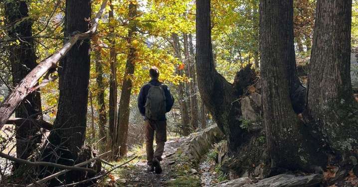 La ruta mágica de Granada para hacer este otoño rodeado de castañares y junto al río que parece sacada de un cuento de Tolkien