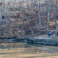 Lake of Ozarks State Park survey for development now online