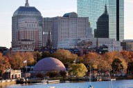 Alligator spotted near Charles River in Boston caught by exotic animal expert