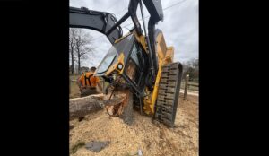 Man ‘miraculously’ survives being pinned in track loader by large tree trunk