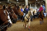 Multiple Oklahoma events cancelled as highly contagious horse virus spreads
