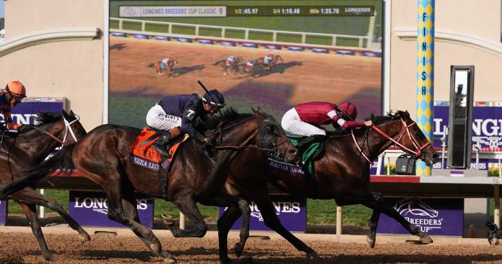 Forever Young wins the Breeders' Cup Classic over 2024 winner Sierra Leone