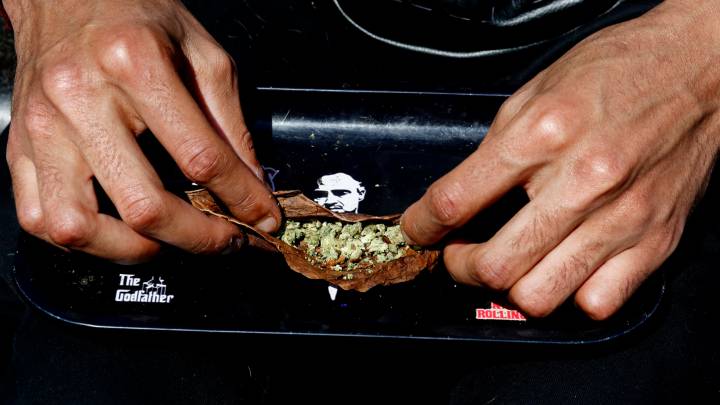 'Trump effect' raises hopes for cannabis rally