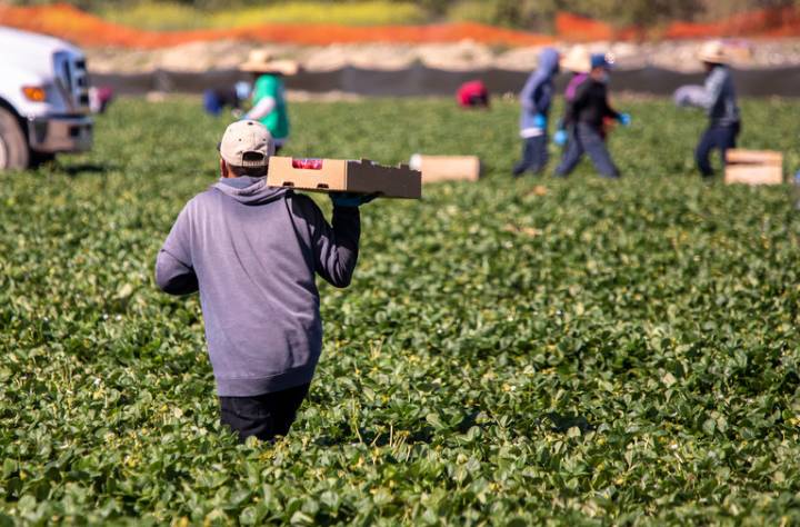 EEOC Settles With Company Amid Pro-American Enforcement