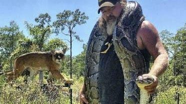 A look at the biggest Burmese pythons from Florida's snake hunt