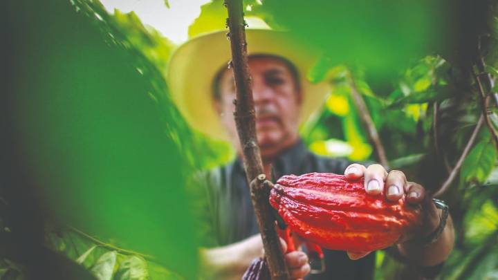 Meta le apuesta a un modelo de transformación regional